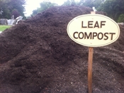 Leaf Compost